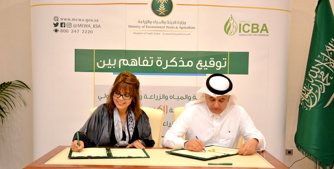 The agreement was signed by His Excellency Eng. Abdulrahman Al Fadley, Minister of Environment, Water and Agriculture, Saudi Arabia, and Dr. Ismahane Elouafi, Director General of ICBA.