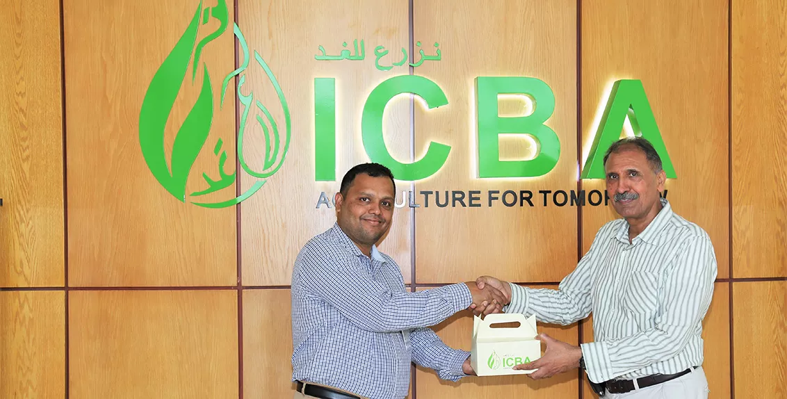 في الأول من أكتوبر/تشرين الأول 2018، اقتسم المركز الدولي للزراعة الملحية (إكبا) مع بلدية دبي ما يربو على 800 بذرة من بنكه الوراثي لخمسة أنواع نباتية برية محلية مهددة. 