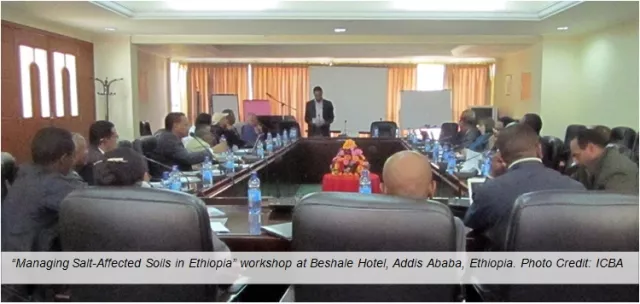 Workshop on Managing Salt-Affected Soils in Ethiopia